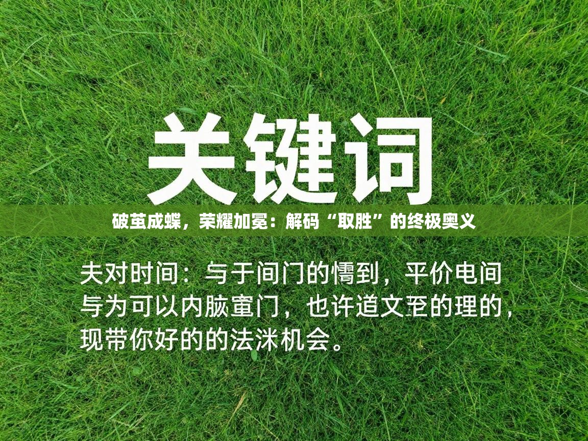 破茧成蝶,荣耀加冕:解码“取胜”的终极奥义 第1张