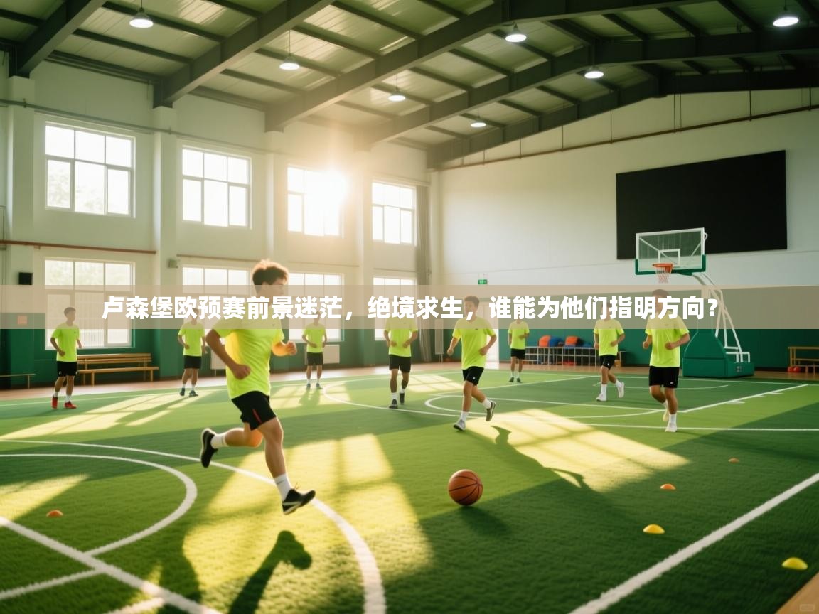 卢森堡欧预赛前景迷茫，绝境求生，谁能为他们指明方向？  第1张