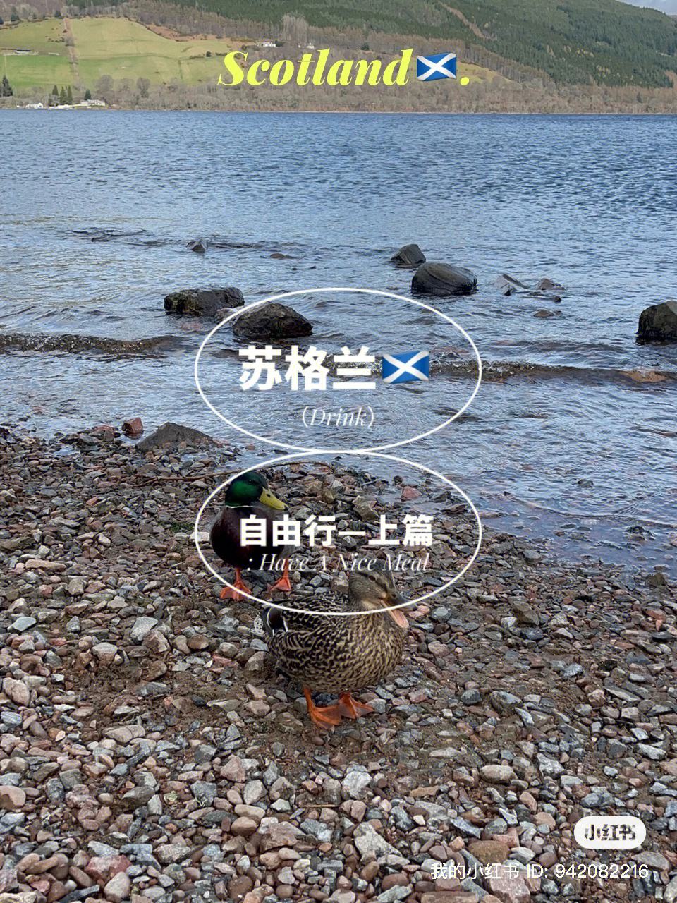 爱游戏在线登录-包含苏格兰俱乐部赛场火爆，球迷热情高涨挑战自由之梦的词条